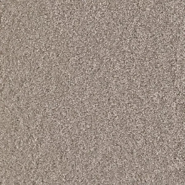 Draufsicht Girloon Cloud 841 Velours Teppichboden